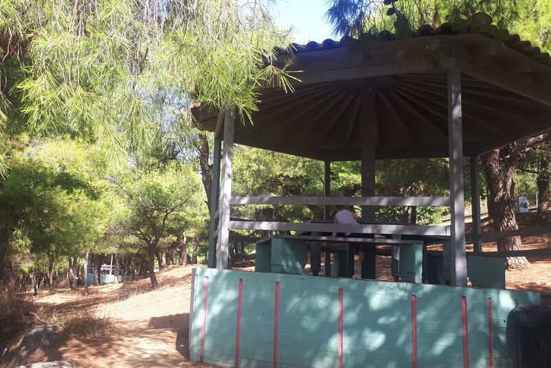 Άλσος Βεϊκου